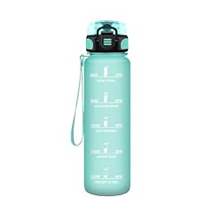 Honeyholly borraccia 500ml usato  Spedito ovunque in Italia 