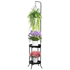Rinbou hanging plant for sale  Delivered anywhere in USA 