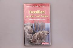 Fossilien nord stsee gebraucht kaufen  Wird an jeden Ort in Deutschland