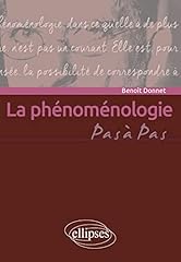 Phénoménologie d'occasion  Livré partout en France