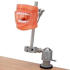 Per4mance dental typodont for sale  Delivered anywhere in USA 