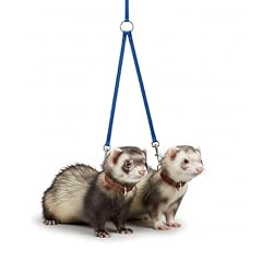 Marshall ferret tandem for sale  Delivered anywhere in USA 