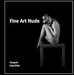 Fine art nude gebraucht kaufen  Wird an jeden Ort in Deutschland