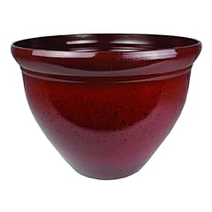 Companies pizzazz decorative for sale  Delivered anywhere in USA 