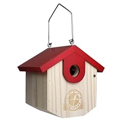 Sisterbird wren bird for sale  Delivered anywhere in USA 