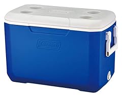 Coleman poly lite usato  Spedito ovunque in Italia 