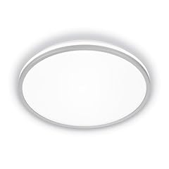 Briloner eek led gebraucht kaufen  Wird an jeden Ort in Deutschland