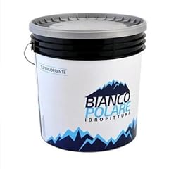 Bianco polare pittura usato  Spedito ovunque in Italia 