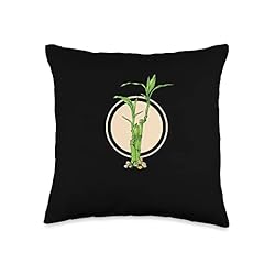 Material bamboo growing for sale  Delivered anywhere in USA 