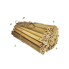 Inature solitary bee for sale  Delivered anywhere in USA 