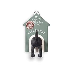 Personalised dog lead for sale  Delivered anywhere in UK