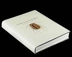 Ordovician trilobites st. for sale  Delivered anywhere in USA 