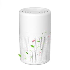 Purificatore aria filtro usato  Spedito ovunque in Italia 
