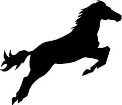 Lightningsigns horse vinyl for sale  Delivered anywhere in UK