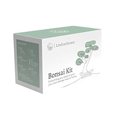 Littlestforest kit bonsai usato  Spedito ovunque in Italia 