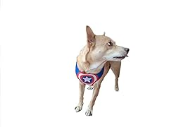 Pettorina per cani usato  Spedito ovunque in Italia 