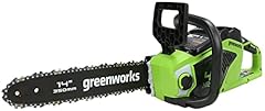 Greenworks 40v chainsaw for sale  Delivered anywhere in USA 