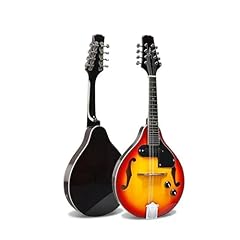 Mandolin beginners electric for sale  Delivered anywhere in UK