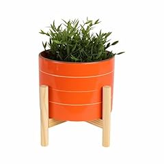Sagebrook home ceramic for sale  Delivered anywhere in USA 