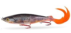 Fishn switch 41gr usato  Spedito ovunque in Italia 