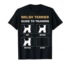 Welsh terrier guida usato  Spedito ovunque in Italia 