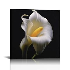Dikadea flower anne for sale  Delivered anywhere in USA 