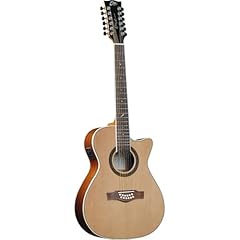Eko guitars one usato  Spedito ovunque in Italia 
