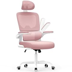 Naspaluro bürostuhl ergonomis gebraucht kaufen  Wird an jeden Ort in Deutschland