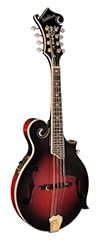 Washburn string mandolin for sale  Delivered anywhere in USA 