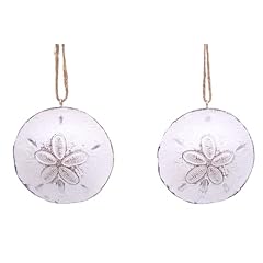 White sand dollar for sale  Delivered anywhere in USA 