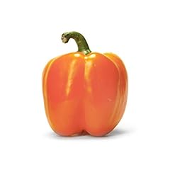 Orange bell pepper for sale  Delivered anywhere in USA 