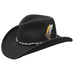 Stetson amasa westernhut gebraucht kaufen  Wird an jeden Ort in Deutschland