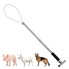 Dog catcher pole for sale  Delivered anywhere in USA 