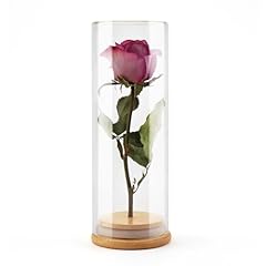 Wisedry decorative glass for sale  Delivered anywhere in USA 