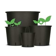 Weedness vaso fiori usato  Spedito ovunque in Italia 