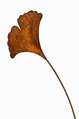 Blümelhuber ginkgo blatt gebraucht kaufen  Wird an jeden Ort in Deutschland