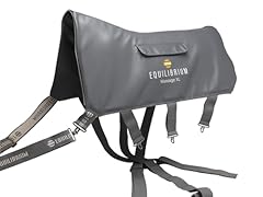 Equilibrium coussin massage d'occasion  Livré partout en France