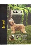 Briard for sale  Delivered anywhere in UK