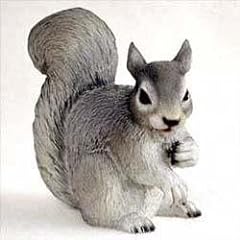 Conversation concepts squirrel for sale  Delivered anywhere in USA 