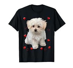 Maltese dog lover for sale  Delivered anywhere in USA 