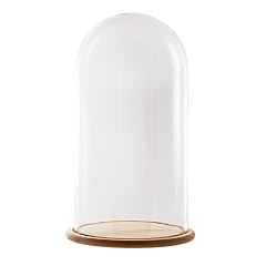 Fanal verre transparent d'occasion  Livré partout en France