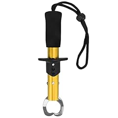 Pesce paperino acciaio usato  Spedito ovunque in Italia 