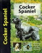 Cocker spaniel for sale  Delivered anywhere in UK