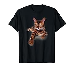 Dose cat bengal for sale  Delivered anywhere in USA 