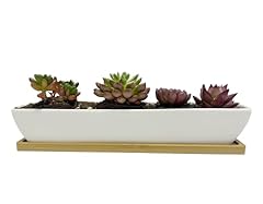 Kipokalor white rectangular for sale  Delivered anywhere in USA 