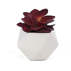 Bornbridge artificial succulen for sale  Delivered anywhere in USA 