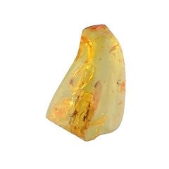 Genuine amber ambra usato  Spedito ovunque in Italia 