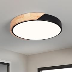 Vikaey deckenlampe led gebraucht kaufen  Wird an jeden Ort in Deutschland