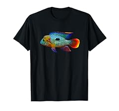 Green terror cichlids for sale  Delivered anywhere in USA 