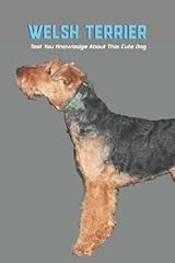 Welsh terrier test for sale  Delivered anywhere in UK